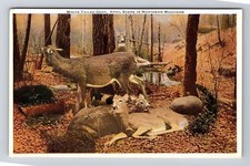 Cartão postal vintage MI-Michigan, cênico, veado de cauda branca, outono, natureza comprar usado  Enviando para Brazil