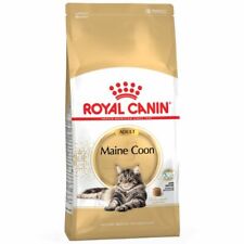 Royal canin maine usato  Carate Brianza