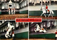 Wien spanische hofreitschule gebraucht kaufen Wien spanische hofreitschule gebraucht kaufen  Deutschland