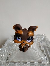 Petshop chien yorkshire d'occasion  Saint-Malo