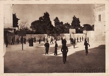 Trani collegio davanzati usato  Roma