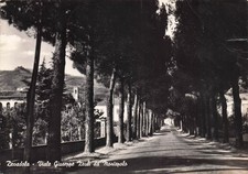 01828 cartolina dovadola usato  Lugo