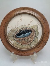 Blue eggs nest for sale  Savage