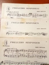 Trevisiol mario preludio usato  Novellara