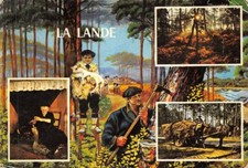 Lande gaveuse oie d'occasion  Expédié en Belgium