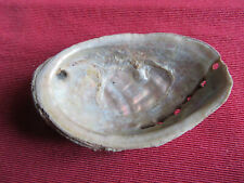 Coquillage coquille ormeau d'occasion  France