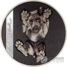 Under dog underlook usato  Ciampino