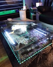 Coffee table fish for sale  WIGAN