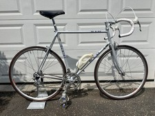1980 rosa vintage for sale  Suffield