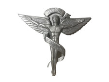 Antique chiropractic health for sale  Auburn Hills