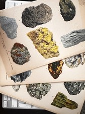 Mineralogia tavole cromolitogr usato  Pisa
