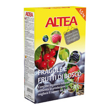 Altea fragole frutti usato  Italia