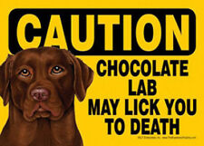 Chocolate lab caution for sale  Rochester