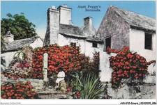 Avhp10 0607 bermudes d'occasion Avhp10 0607 bermudes d'occasion  France