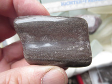 Fossiles holz dadoxylon gebraucht kaufen  Eschwege