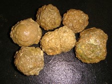 Old mixed whole for sale  Dyer