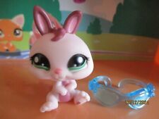 Petshop lapin nain d'occasion  Saint-Omer