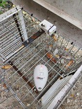 bird traps for sale  ST. AUSTELL