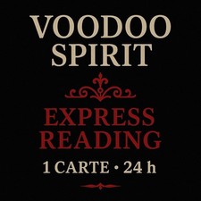 Voyance voodoo spirit d'occasion  Châteauneuf-sur-Cher