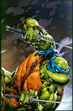 Teenage mutant ninja gebraucht kaufen  Sankt Augustin