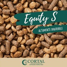 Mangime equitys cortal usato  Varese
