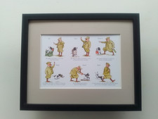 Bryn parry dog for sale  YORK