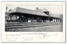 Cartão postal antigo 1906 O & WRR Station Depot Wagon Livingston Manor Nova York NY, usado comprar usado  Enviando para Brazil