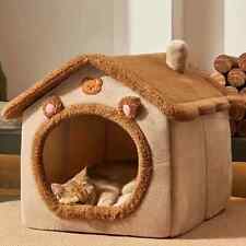 Pet cat kitten for sale  UK
