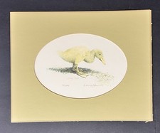 Duckling yellow duck for sale  Henderson