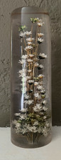 Daisyglas lucite cylinder for sale  Roscoe
