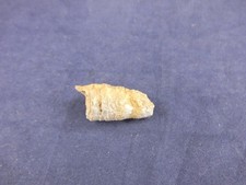Small natural horn for sale  SHEFFIELD