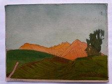 Franz tuercke allgaeu gebraucht kaufen  Berlin
