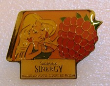 Pin sidroga sinergy d'occasion  Saint-Nazaire