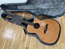 Acoustic guitar alvarez gebraucht kaufen  Dresden