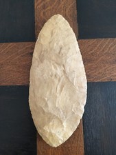 Belle feuille laurier d'occasion  Arradon