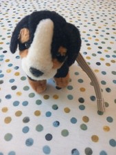 Cute bernese mountain for sale  BERKHAMSTED