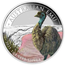 2025 australian emu for sale  Niagara Falls