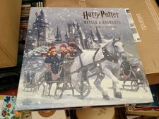 Harry potter natale usato  Torino