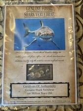 Fossil fossil shark for sale  ALNESS
