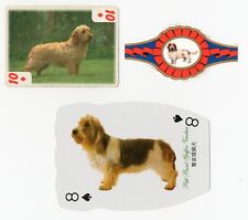 basset griffon vendeen usato basset griffon vendeen usato Spedire a Italy