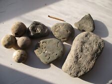 fossil crab for sale fossil crab for sale SALISBURY