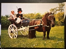 Pferdepostkarte postkarte pfer gebraucht kaufen Pferdepostkarte postkarte pfer gebraucht kaufen  Zossen