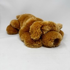 Classic laces golden for sale  Warner Robins