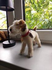 Foxy steiff top gebraucht kaufen  Treben