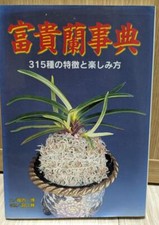 Dizionario giapponese fukiran usato  Spedire a Italy