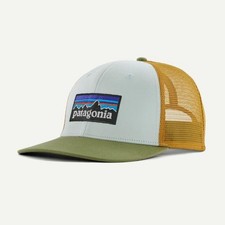 Patagonia logo trucker for sale  Norwood