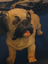 puppy black pug for sale puppy black pug for sale Palestine