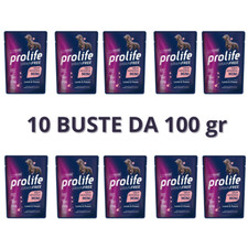 Prolife dog grain usato  Valva