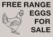 Free range eggs for sale  NOTTINGHAM