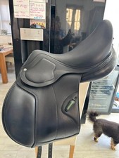 Amerigo dressage vsd for sale  DOWNHAM MARKET